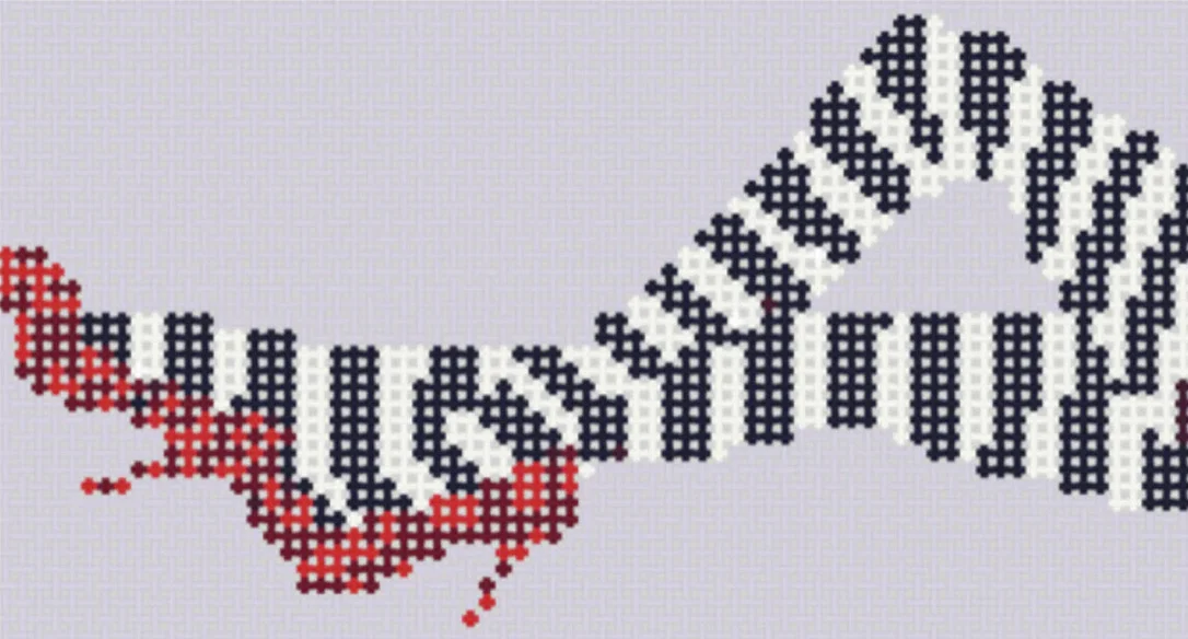 stitchbystitchneedlepoint325991
