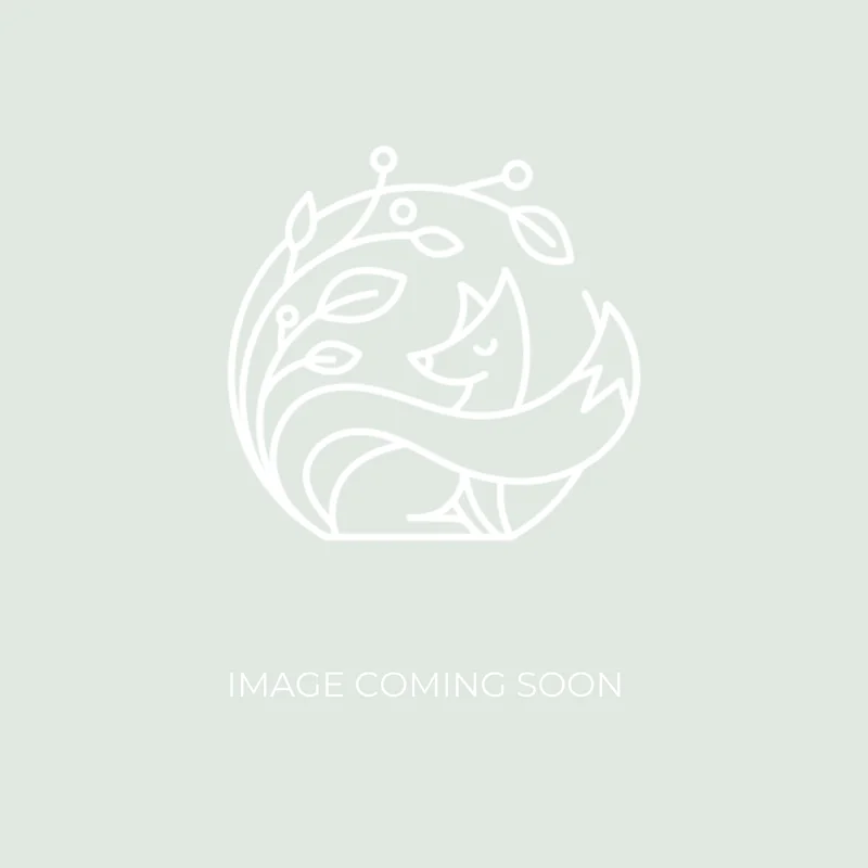 stitchingfox2123062