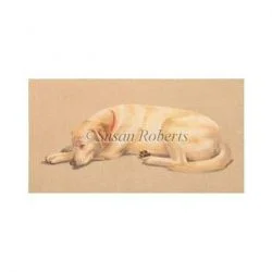 stitchingfox376024